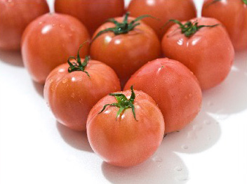 宮崎産のトマト